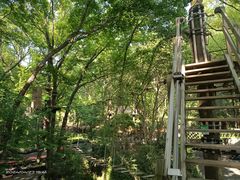 -WeLope紫金山探险公园