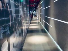 -威尔仕健身·游泳(KING88店)