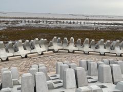 景点-南汇嘴观海公园