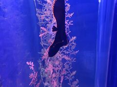 -哈尔滨波塞冬海底世界