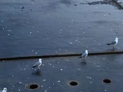 -星海广场