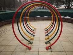 -大兴滨河森林公园