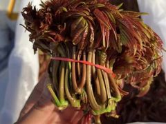 -绫罗岛海鲜私房菜(鸭绿江边店)