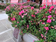 -大理文庙(大理古城)