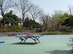 -葛仙湖公园
