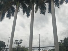 -八婆婆烧仙草(中山路店)