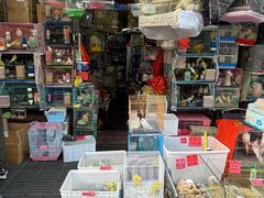 -溪岸路花鸟市场