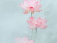 -千忆汤包(闽江路店)