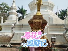 -西双版纳傣族园