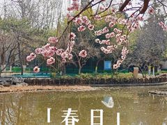 -宣武艺园
