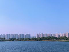 -洋湖国家湿地公园