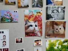 -柯达靓之彩影像网络(明瓦廊店)