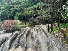 -梭布垭石林景区