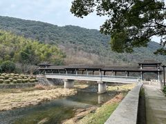 -兰亭风景区