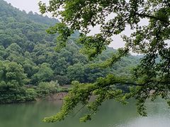 -桃花岭景区