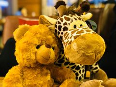 -ZOO COFFEE 动物园咖啡(亦庄店)