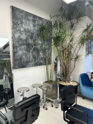 点击看大图 -Hair Gallery