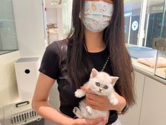 -babydoll猫舍·米努特·德文·缅因(久光中心店)