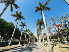 -厦门大学(思明校区)