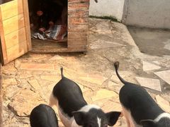 -HERRE·FARM 赫尔露营农场·团建聚会包场