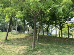 -塘沽森林公园