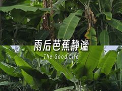 -昆明动物园