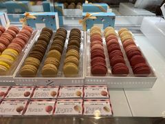 -Pierre Marcolini(德基广场店)