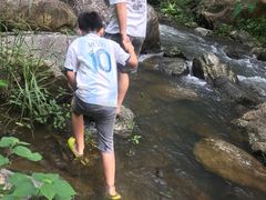 -广州市石门国家森林公园
