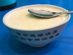 -德禄酸奶(莫家街店)