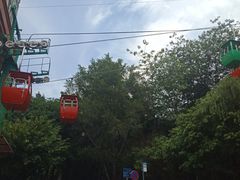 -攀枝花公园