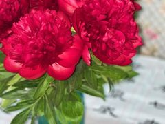 -循礼门鲜花花市(武汉循礼门店)