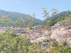 -广州白江湖森林公园