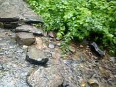 -灵山