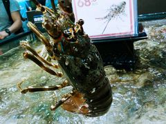 -盒马鲜生(曜一城店)