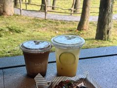 -玉苍山国家森林公园