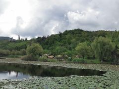 -世界恐龙谷景区
