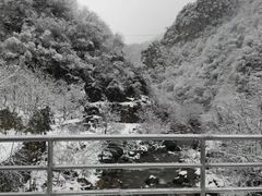 -秦岭风景区