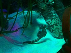 -沈阳海洋探索中心