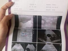 -宠爱国际动物医院· 猫科· 外科·中兽医(长白店)