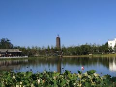 -西海子公园