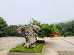 -宝岩生态观光园