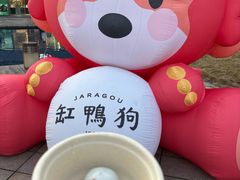 -缸鸭狗(天一广场店)