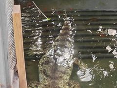 -呀路古热带植物园