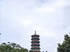 -红花山公园