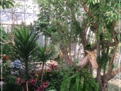 -北京植物园-展览温室