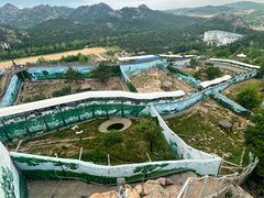 -西霞口神雕山野生动物世界