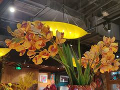 -云尊府云南菜·蒸汽石锅鱼(五棵松华熙店)