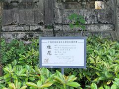 -桂林独秀峰王城景区