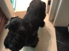 -唯美宠物生活馆(绿地国际生态城店)