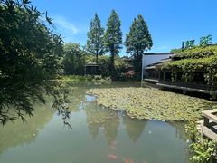 -绿茶餐厅(龙井船宴· 品牌总店)